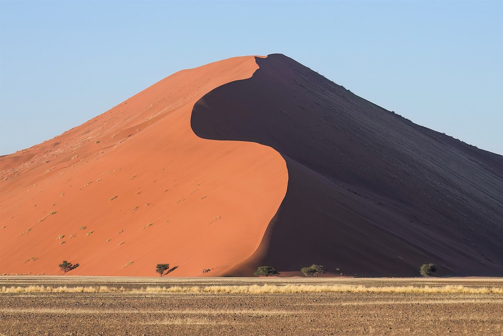 Die Düne 45 in Sossusvlei bei Sonnenaufgang, Namibia