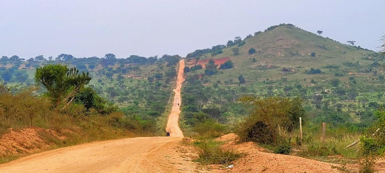 Rote Piste durch die grüne Hügellandschaft Ugandas